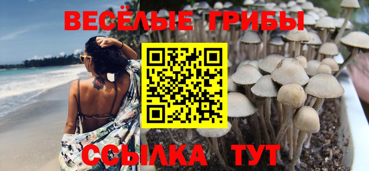 дарнет шоп  Галлюциногенные грибы Cubensis  Вход с VPN  Десногорск 